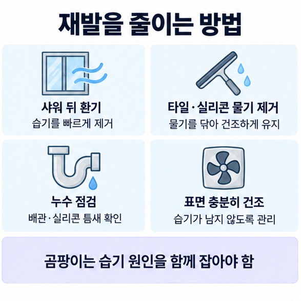 환기 물기 제거 누수 점검 건조를 통해 곰팡이 재발을 줄이는 방법을 정리한 인포그래픽