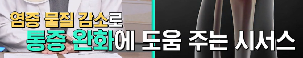 시서스 효능