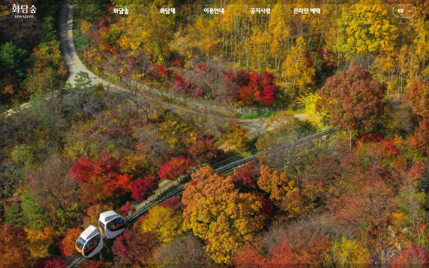 화담숲 야경 촬영 모노레일 입장료 할인 예약 단풍 시기 데이트 코스 시간