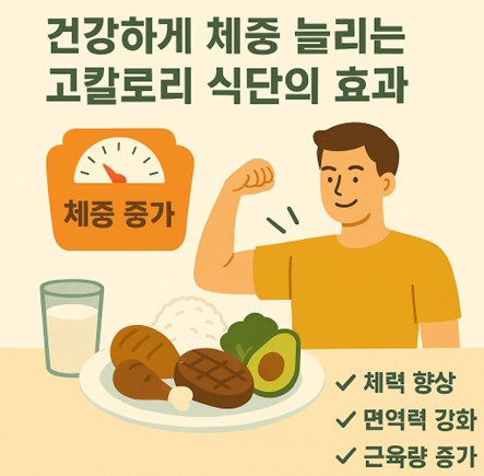 건강하게 체중 늘리는 고칼로리 식단
