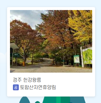 숲나들이 예약