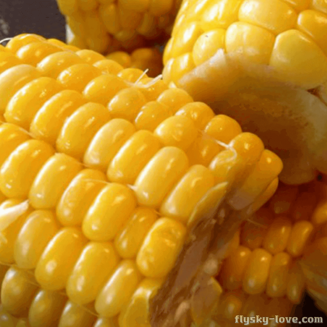 초당 옥수수 찌는 법