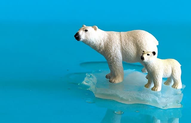 온난화에 따른 한국 농업의 농업 폐기물 관리 개선 방안