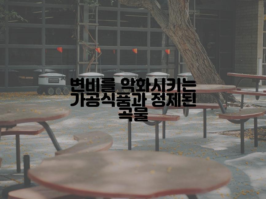 변비를 악화시키는 가공식품과 정제된 곡물