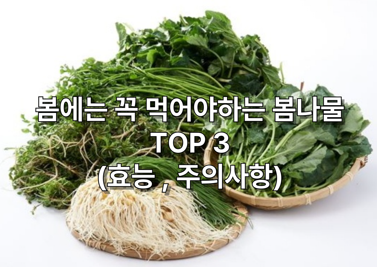 여러가지 봄나물 대표 이미지