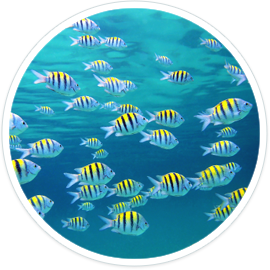 2024학년도수험생할인혜택총정리