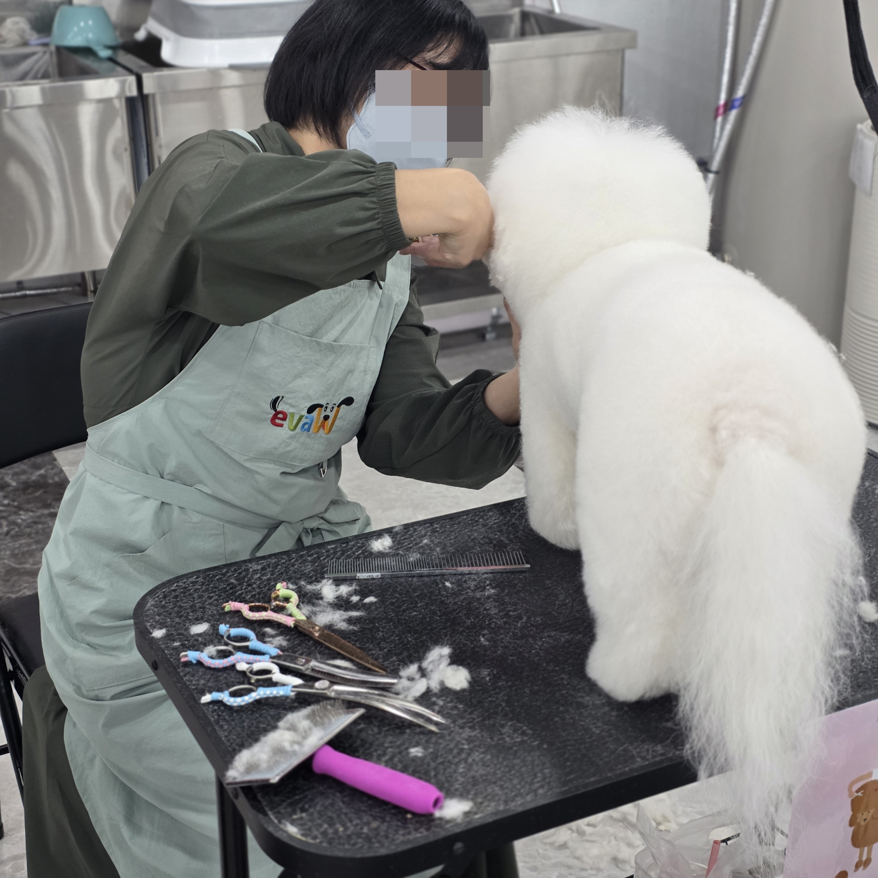 구미애견미용학원