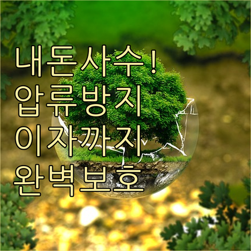 압류방지통장 원금과 이자 보호 혜택 ..