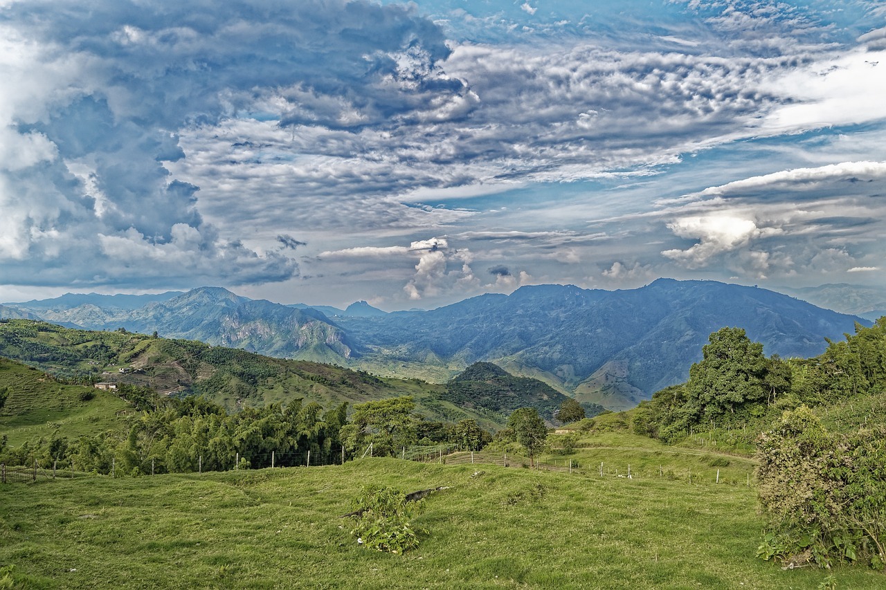 회문산 자연휴양림 예약