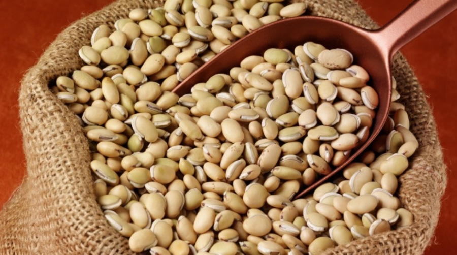 야생에서 채취를 한 까치콩, 즉 백편두를 커다란 망태기에 가득 담아두고 나무 숟가락 1개를 꼽아놓고 찍은 사진