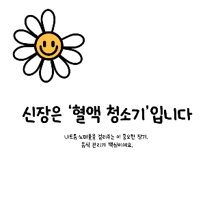 신장에 좋은 음식