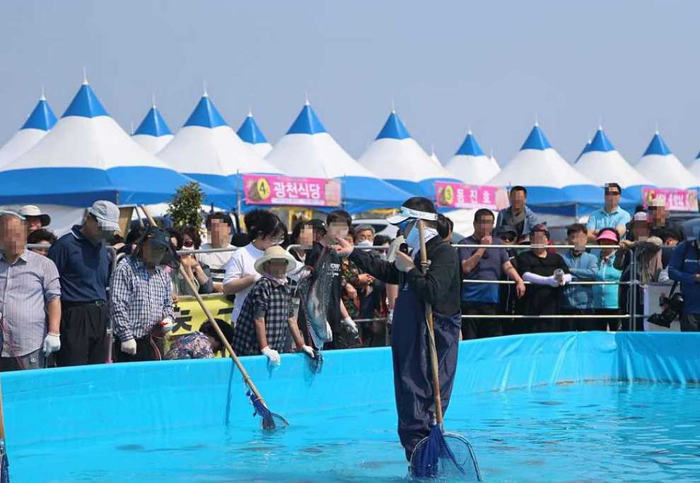 서천 자연산 광어 도미 축제 기본정보