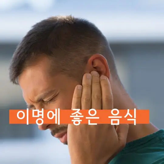 이명에 좋은 음식
