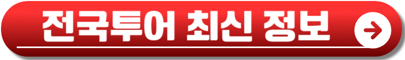 스테이지 파이터 공연