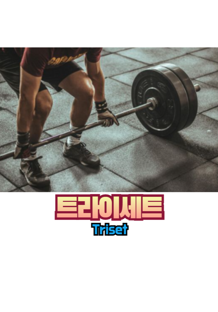 1.트라이세트(Triset)