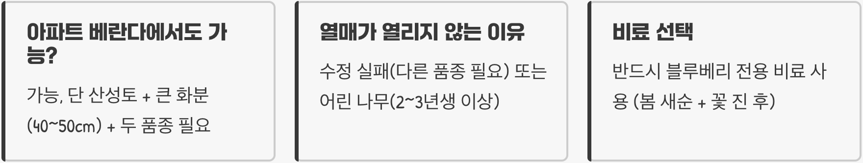초보 텃밭러도 성공! 실패 없는 들쭉나무 키우기 (모종 선택부터 수확까지 A to Z)