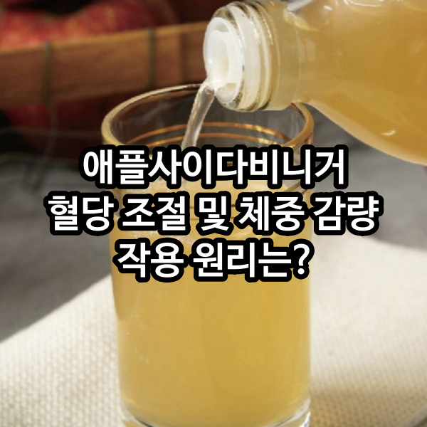 애플사이다비니거 혈당 조절 및 체중 감량 작용 원리