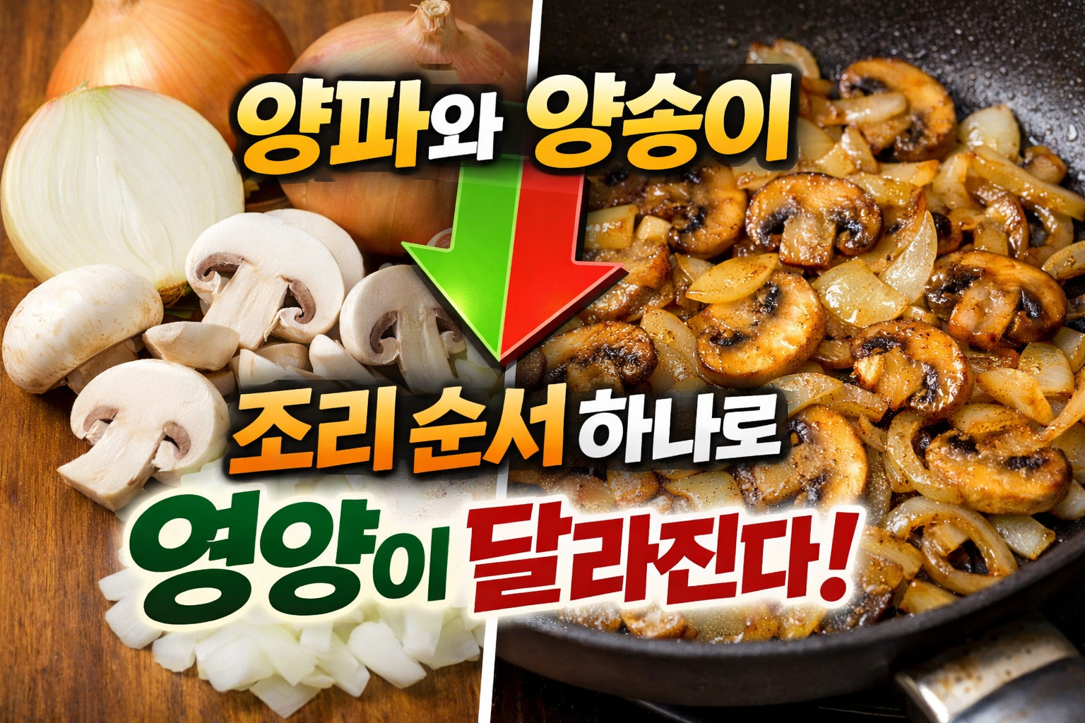 양파와 양송이