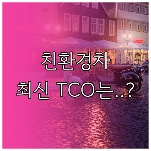 2025년 친환경차 구매 리스 초기 ..