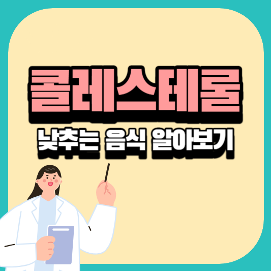 콜레스테롤