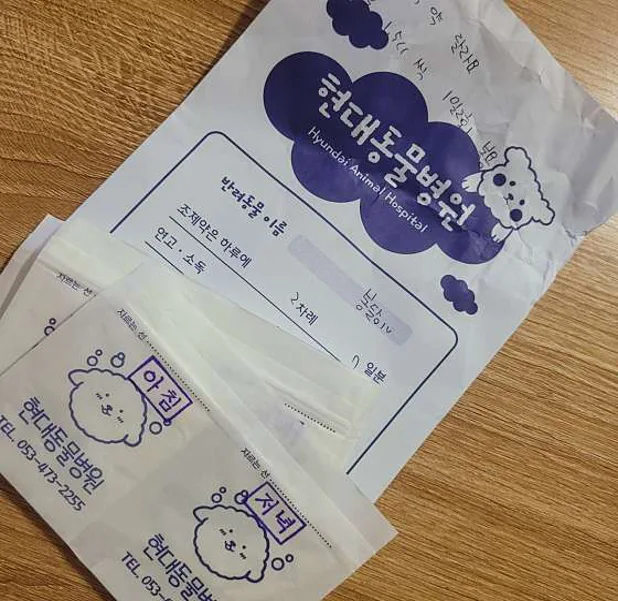 현대동물병원