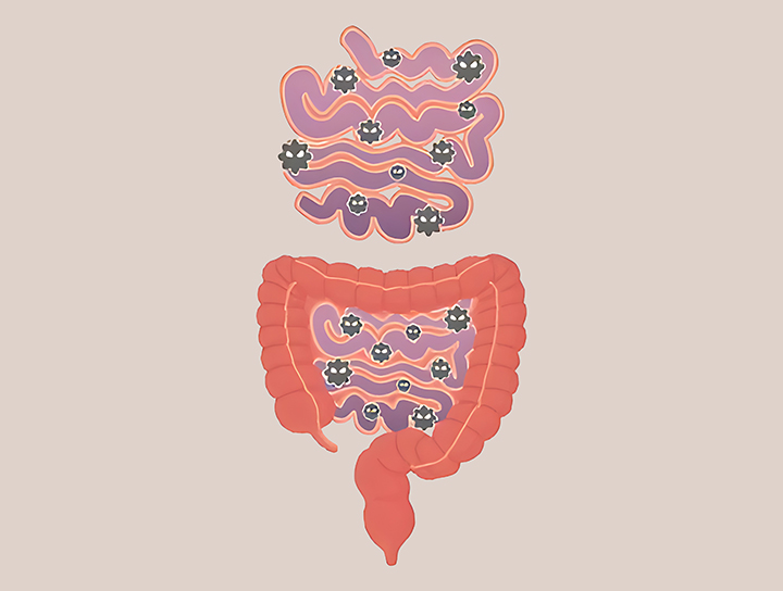 항염-및-항산화-작용