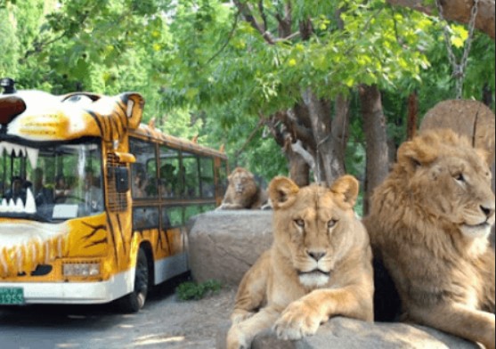 에버랜드 할인 카드4