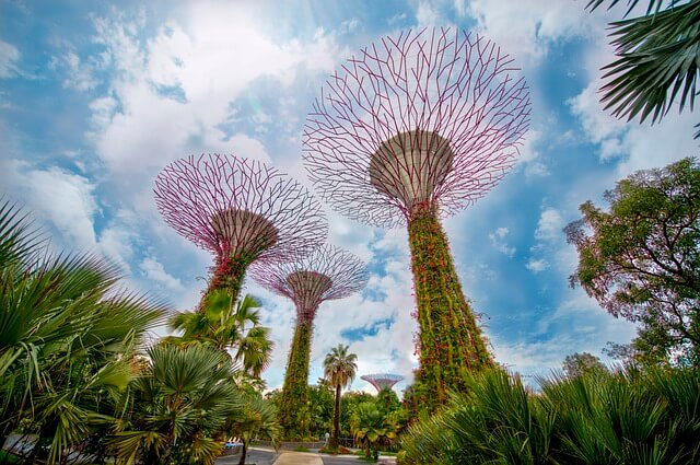 친환경 조경의 미래 : 지속 가능한 설계 방법