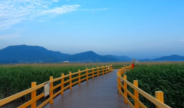 혼자만알고싶은여행지