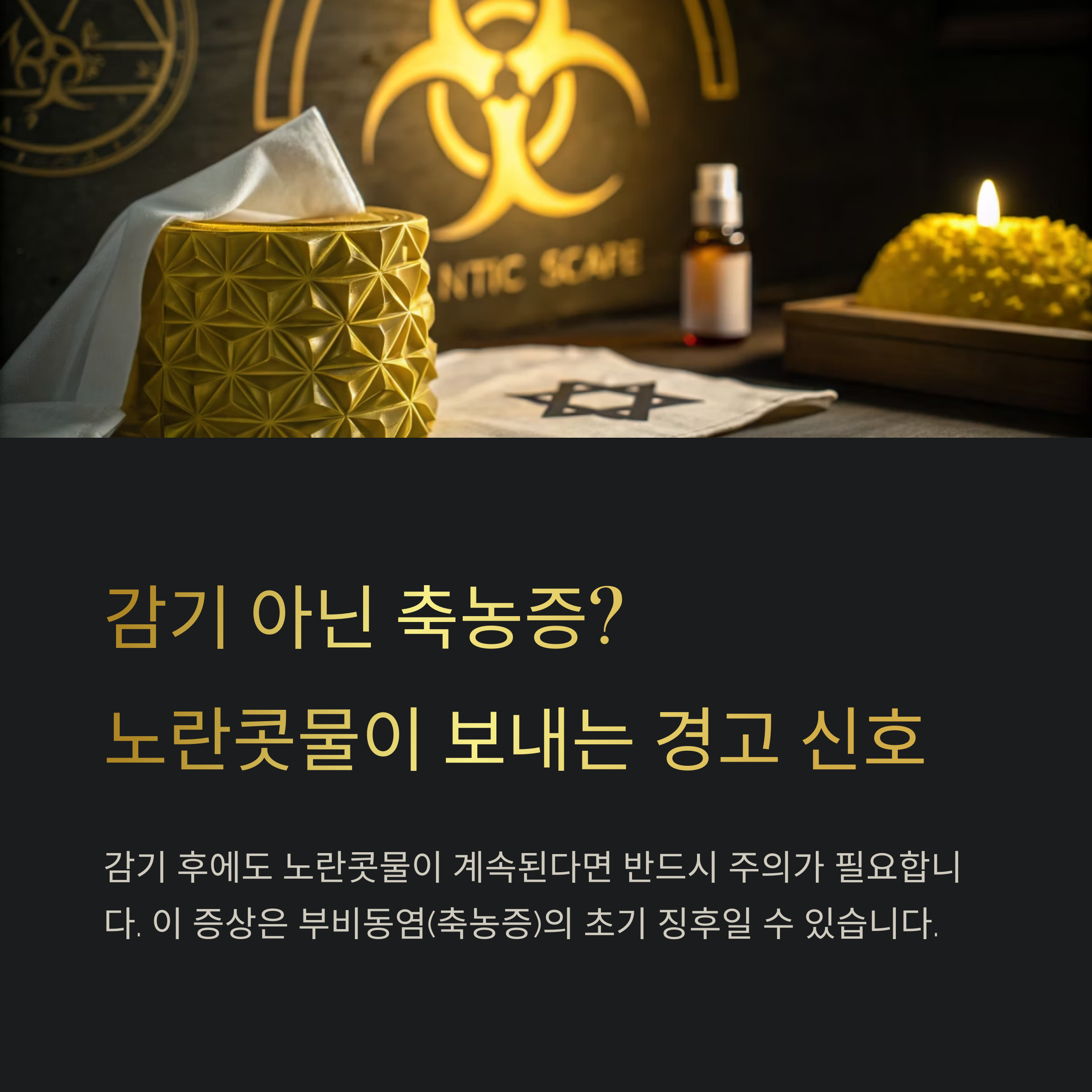 노란콧물