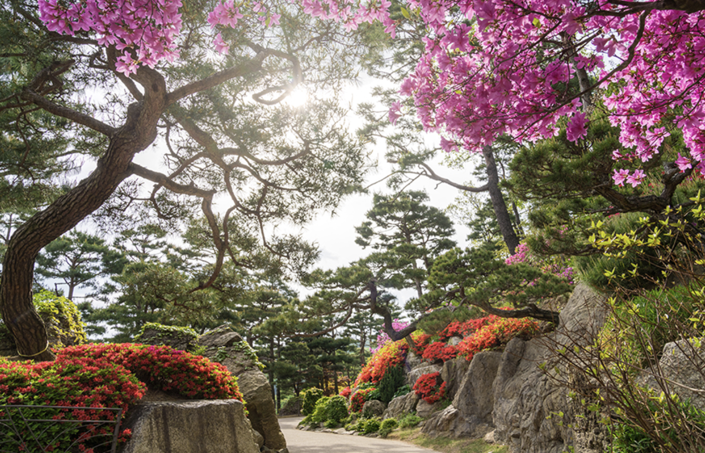화담숲 화담채 모노레일 사전 예약&amp;#44; 할인받고 예매 하기
