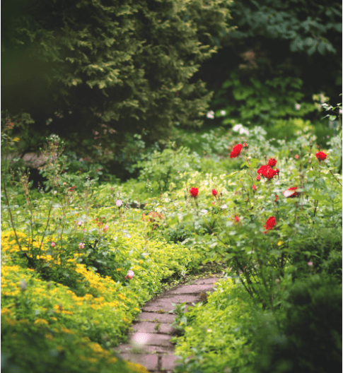 서울가든페스타