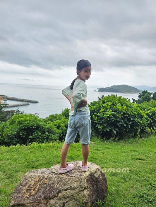 언덕의바람 사진