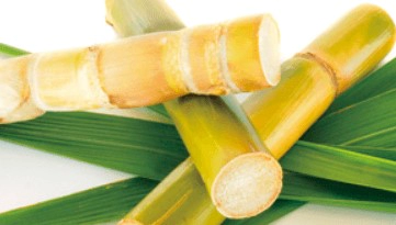 옥타코사놀 부작용