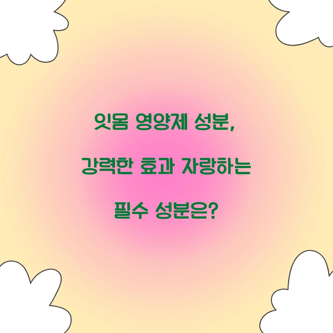 잇몸 영양제 성분