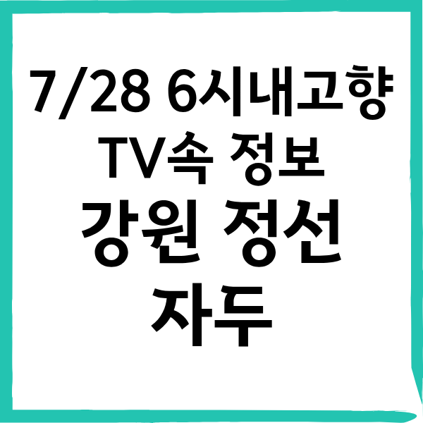 7월28일 6시내고향 정선 자두 파는 곳
