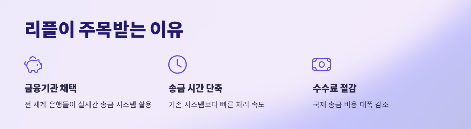 2025년-리플전망