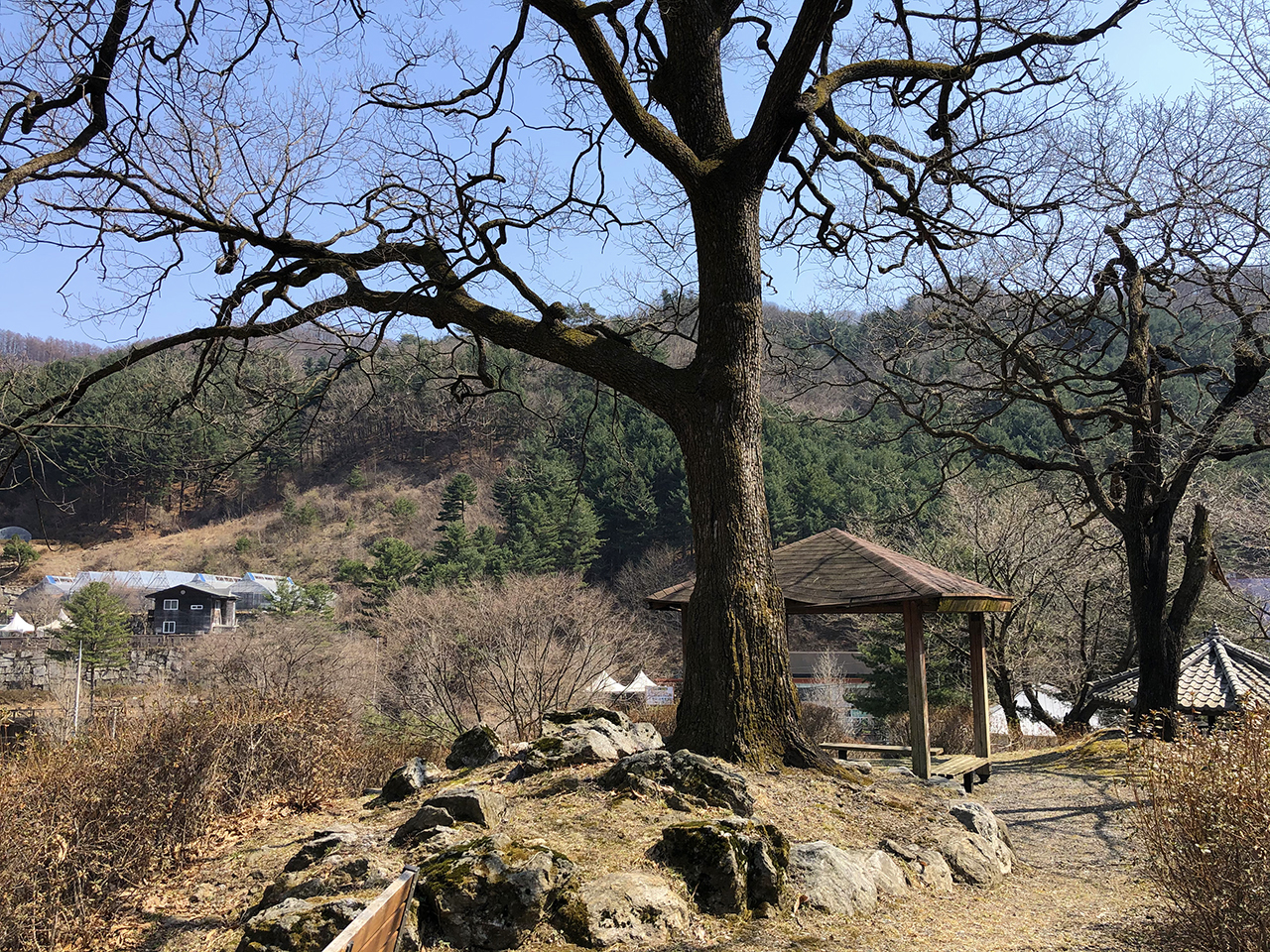 나무와 쉼터