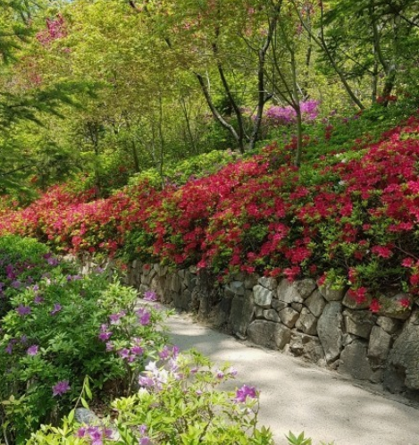 화담숲 주변 맛집 가볼만한곳