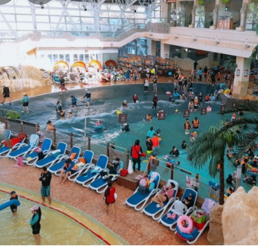 비발디파크 오션월드 운영시간