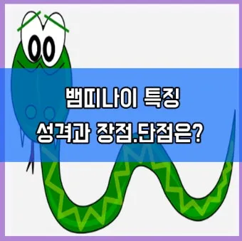 2025 뱀띠 나이 53년 65년 77년 89년 01년생 정리_8