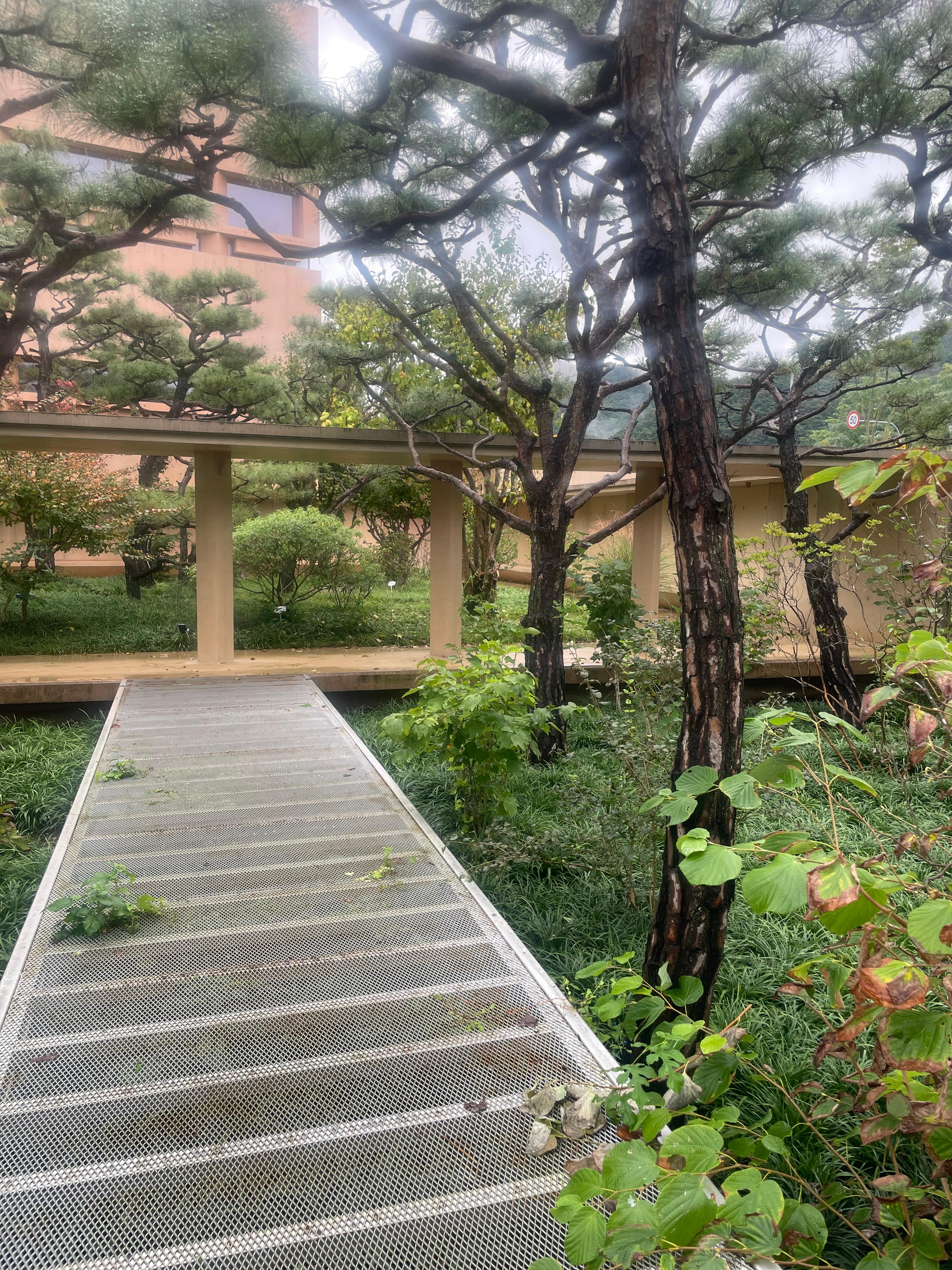 팔공산 대형카페 파이퍼 베이커리