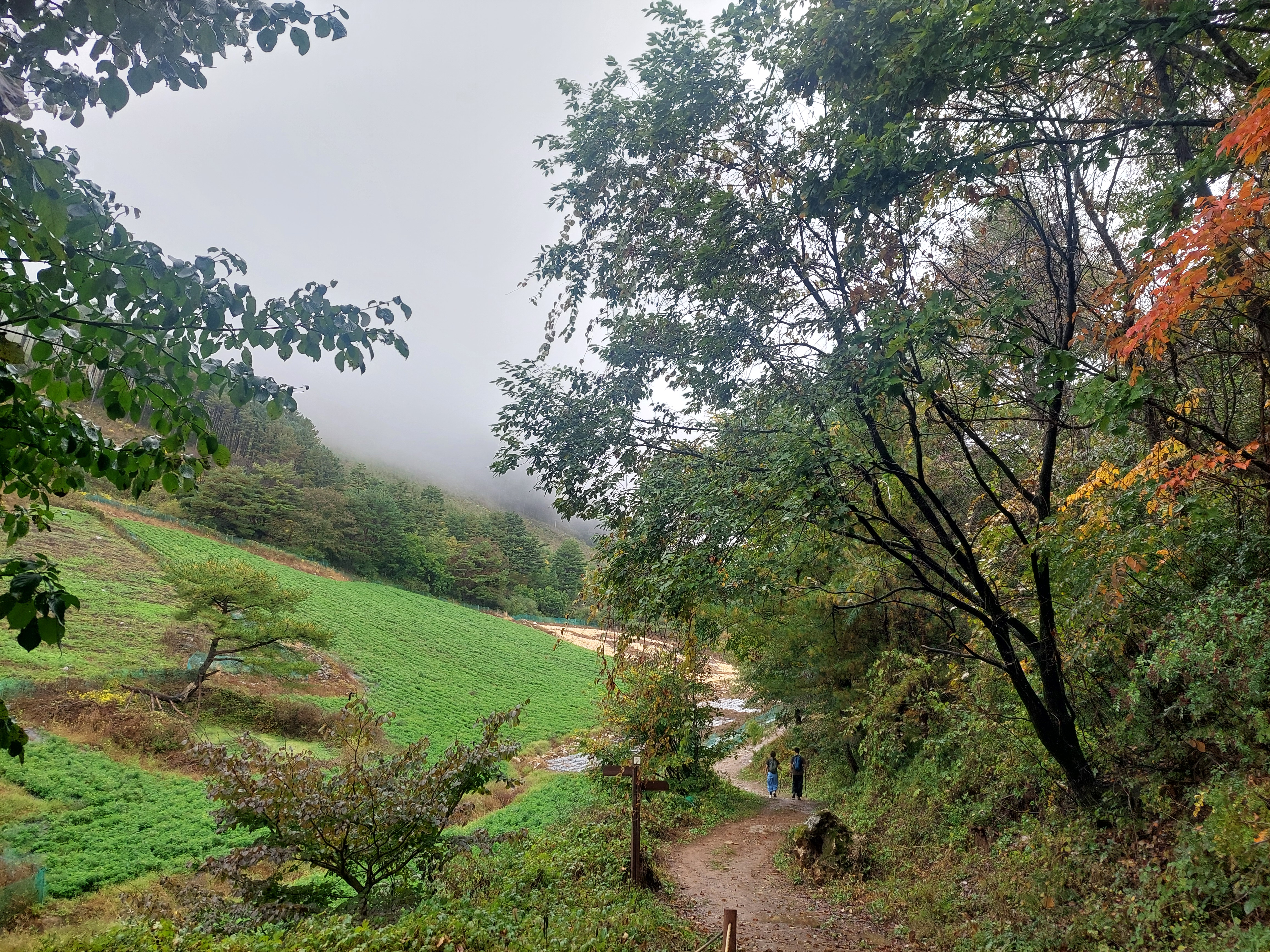 민둥산