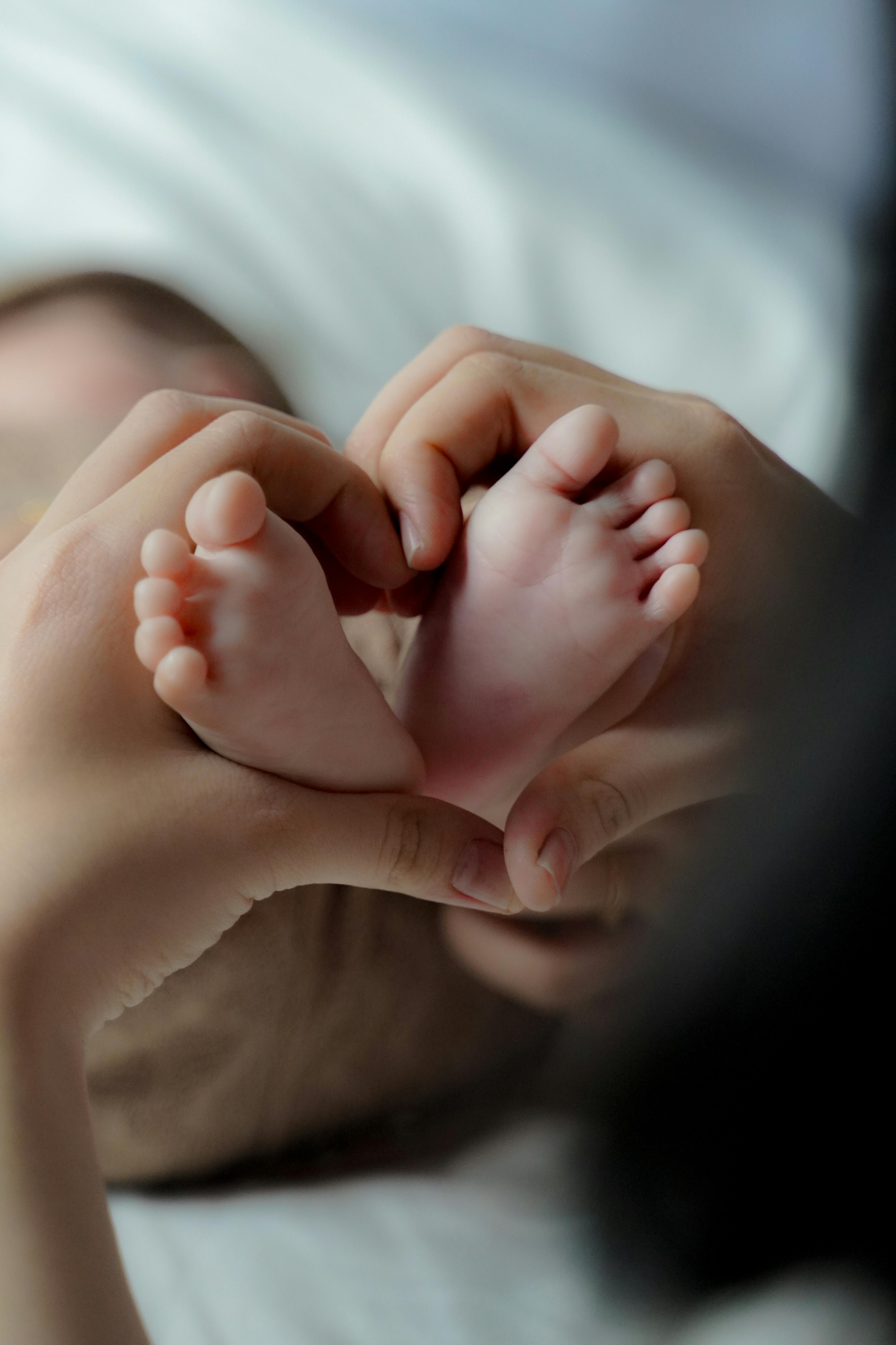 닛신식품 홈페이지에서 컵라면, 채용, 주가 정보를 한눈에!