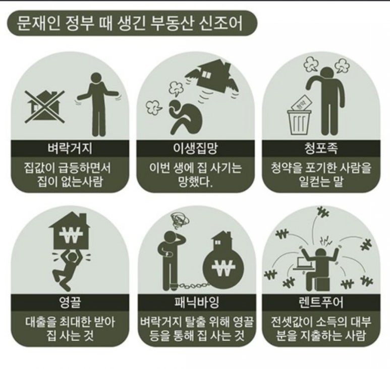 문재인 정부 때 생긴 부동산 신조어