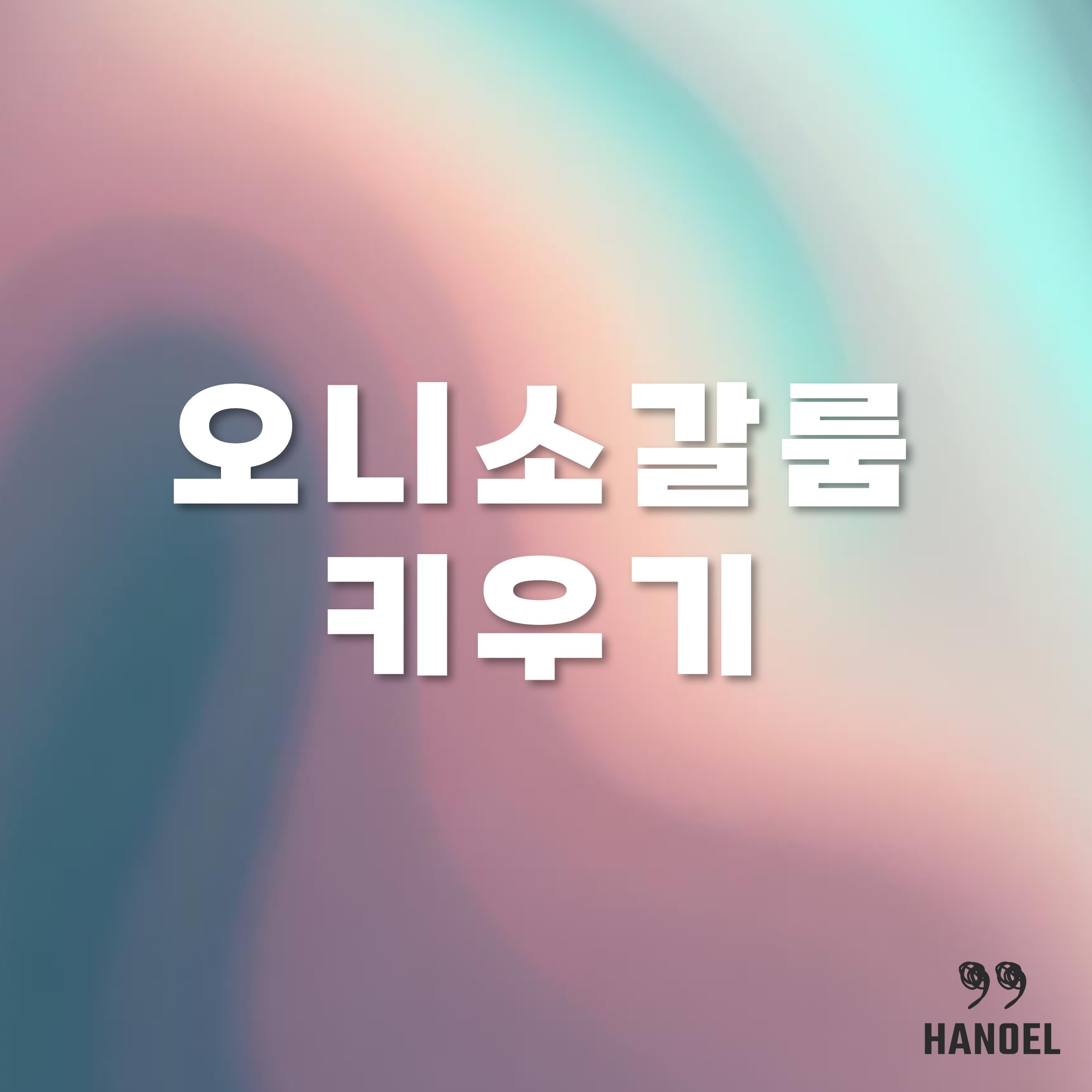 오니소갈룸 키우기와 꽃말