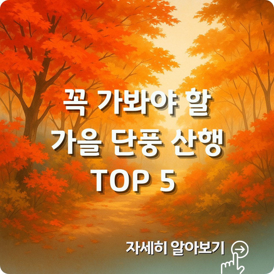 2025 단풍 산행 추천지 TOP 5｜절정시기·코스·사진명소 완벽가이드