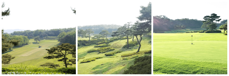 비승대 체력단련장 사진 3개