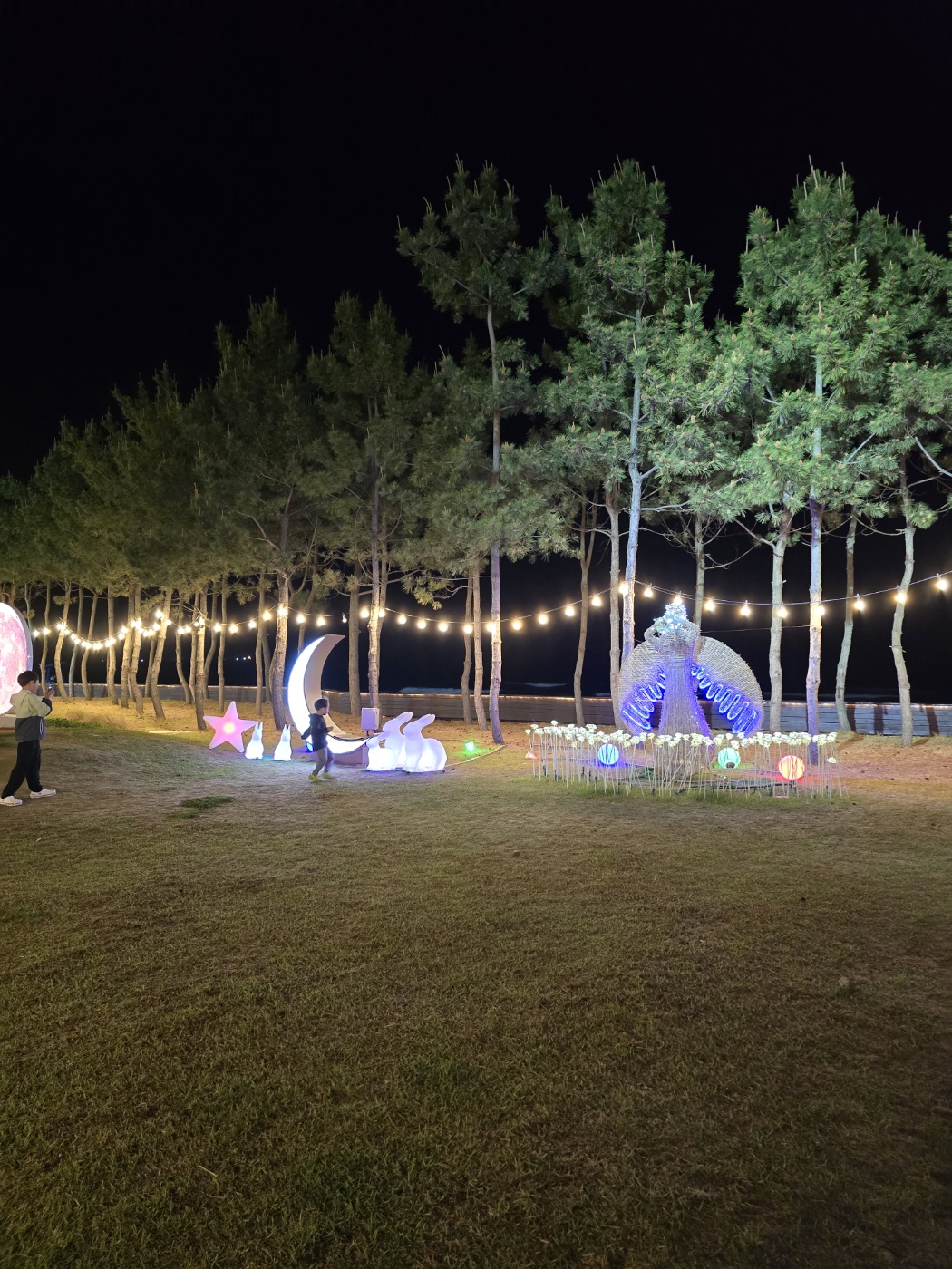 전구들이 너무 예쁜 산책로 모습