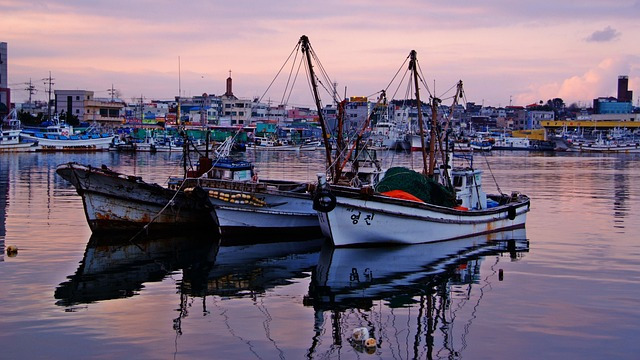 전통시장 리뷰 방문기